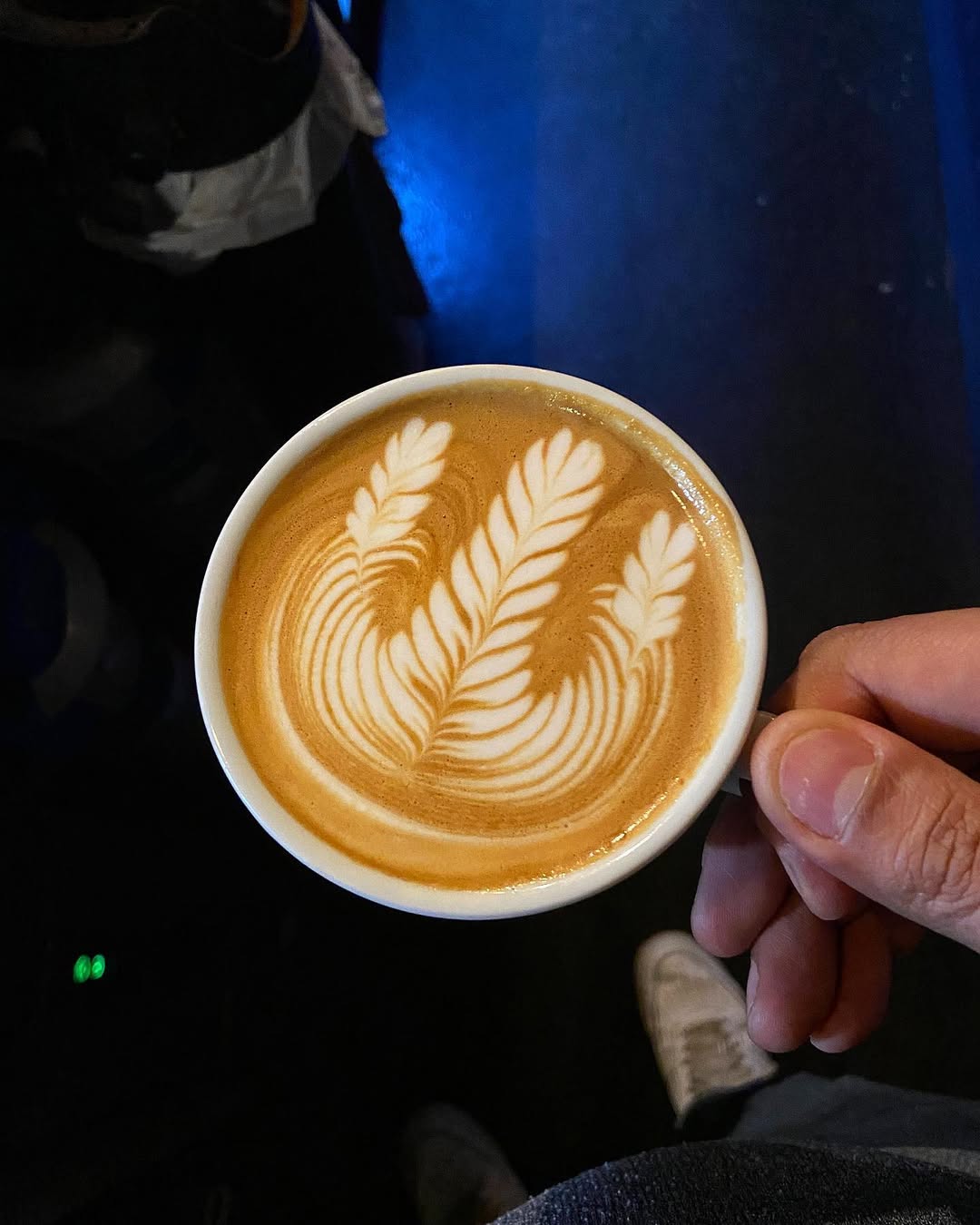Introduction to Latte Art